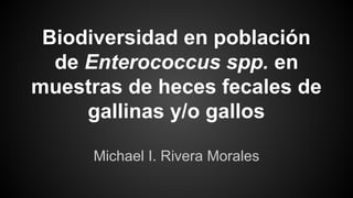 Biodiversidad en población
de Enterococcus spp. en
muestras de heces fecales de
gallinas y/o gallos
Michael I. Rivera Morales

 