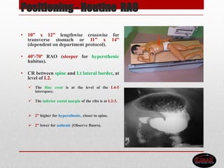 Positioning - Routine RAO
• 10” x 12” lengthwise crosswise for
transverse stomach or 11” x 14”
(dependent on department protocol).
• 40º-70º RAO (steeper for hypersthenic
habitus).
• CR between spine and Lt lateral border, at
level of L2.
 The iliac crest is at the level of the L4-5
interspace.
 The inferior costal margin of the ribs is at L2-3.
 2” higher for hypersthenic, closer to spine.
 2” lower for asthenic (Observe fluoro).
 