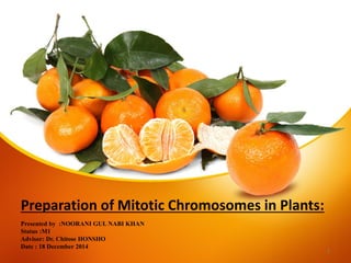 Preparation of Mitotic Chromosomes in Plants:
Presented by :NOORANI GUL NABI KHAN
Status :M1
Advisor: Dr. Chitose HONSHO
Date : 18 December 2014
1
 