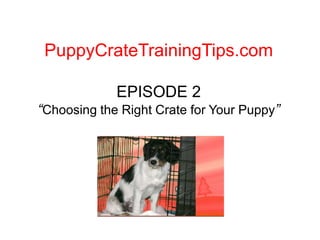 PuppyCrateTrainingTips.com EPISODE 2“Choosing the Right Crate for Your Puppy” 