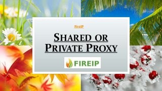 FireIP 
SHARED OR 
PRIVATE PROXY 
 