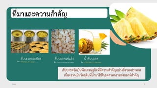 สับปะรดจัดเป็นพืชเศรษฐกิจที่มีความสาคัญอย่างยิ่งของประเทศ
เนื่องจากเป็นวัตถุดิบที่นามาใช้ในอุตสาหกรรมส่งออกทีสาคัญ
Date 3
ที่มาและความสาคัญ
สับปะรดกระป๋อง สับปะรดแช่แข็ง น้ำสับปะรด
ที่มา : สัปรดกระป็อง - Bing images ที่มา : https://www.bing.com/images/ ที่มา : น้ำสับปะรดแปรรูป - Bing images
 