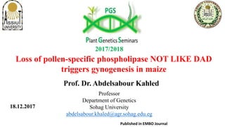 Loss of pollen-specific phospholipase NOT LIKE DAD
triggers gynogenesis in maize
Professor
Department of Genetics
Sohag University
abdelsabour.khaled@agr.sohag.edu.eg
18.12.2017
Prof. Dr. Abdelsabour Kahled
2017/2018
Published in EMBO Journal
 