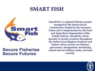 Fisheries and Aquaculture Department | PPT