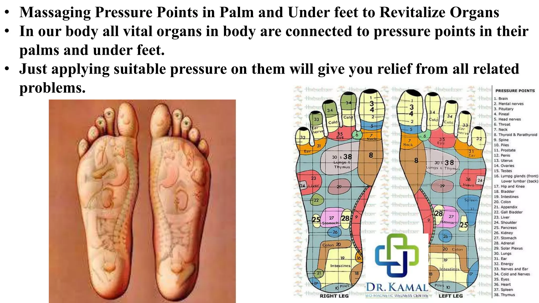 Your Health is in Your Hand | PPTX