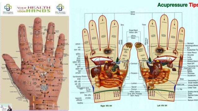 Your Health is in Your Hand organ foot diagram 