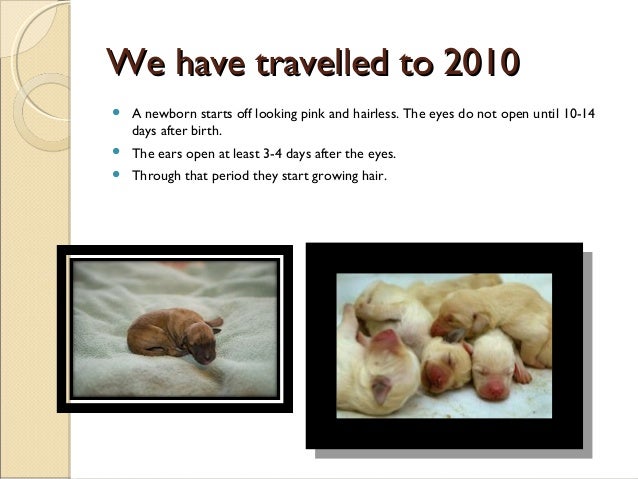 Life cycle homework 08 picture