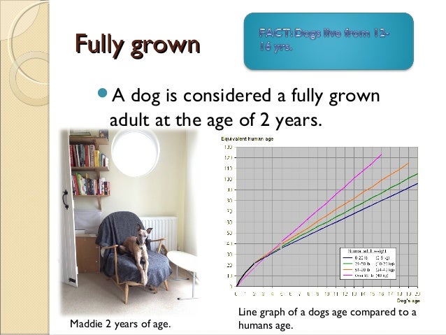 Life cycle worksheets 3rd grade picture