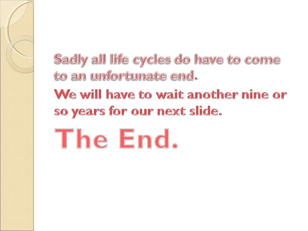 Life cycle of animals worksheets for grade 4 picture