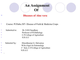 An Assignment
                                 Of
                         Diseases of Aloe vera


        Course: Pl.Patho.507- Disease of Field & Medicine Crops

       Submitted to:    Dr. S.M Chaudhary
                        Professor of Pl.Pathology
                        C.P.College of Agriculture
                        S.D.A.U

       Submittef by:    Dineshkumar G. Dalvaniya
                        M.Sc.(Agri) In Entomology
                       1st Sem.-C.P.College of Agriculture
                       S.D.A.U
   .
 