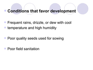    Conditions that favor development

   Frequent rains, drizzle, or dew with cool
   temperature and high humidity

 ...