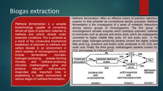 Biogas extraction
• Methane fermentation offers an effective means of pollution reduction,
superior to that achieved via conventional aerobic processes. Methane
fermentation is the consequence of a series of metabolic interactions
among various groups of microorganisms. The first group of
microorganisms secretes enzymes which hydrolyze polymeric materials
to monomers such as glucose and amino acids, which are subsequently
converted to higher volatile fatty acids, H2 and acetic acid . In the
second stage, hydrogen-producing bacteria convert the higher volatile
fatty acids e.g., propionic and butyric acids, produced, to H2, CO2, and
acetic acid. Finally, the third group, methanogenic bacteria convert H2,
CO2, and acetate, to CH4 and CO2.
Methane fermentation is a versatile
biotechnology capable of converting
almost all types of polymeric materials to
methane and carbon dioxide under
anaerobic conditions. This is achieved as
a result of the consecutive biochemical
breakdown of polymers to methane and
carbon dioxide in an environment in
which varieties of microorganisms which
include fermentative microbes,
hydrogen-producing, acetate-forming
microbe, and methane-producing
microbes (methanogens) grow and
produce reduced end-products.
Anaerobes play important roles in
establishing a stable environment at
various stages of methane fermentation.
 