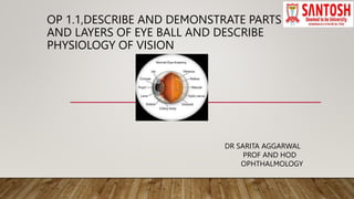 OP 1.1,DESCRIBE AND DEMONSTRATE PARTS
AND LAYERS OF EYE BALL AND DESCRIBE
PHYSIOLOGY OF VISION
DR SARITA AGGARWAL
PROF AND HOD
OPHTHALMOLOGY
 