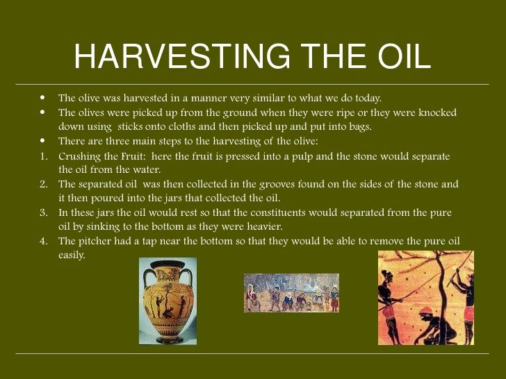 HISTORY OF OLIVE OIL IN GREECE