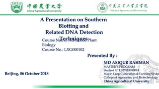 Beijing, 06 October 2018
A Presentation on Southern
Blotting and
Related DNA Detection
TechniquesCourse Name: Advanced Plant
Biology
Course No.: LXG000102
MD ASIQUR RAHMAN
MASTER’S PROGRAM
Student Id: LS20183010014
Major: Crop Cultivation & Farming System
College of Agronomy and Biotechnology
China Agricultural University
Presented By :
 