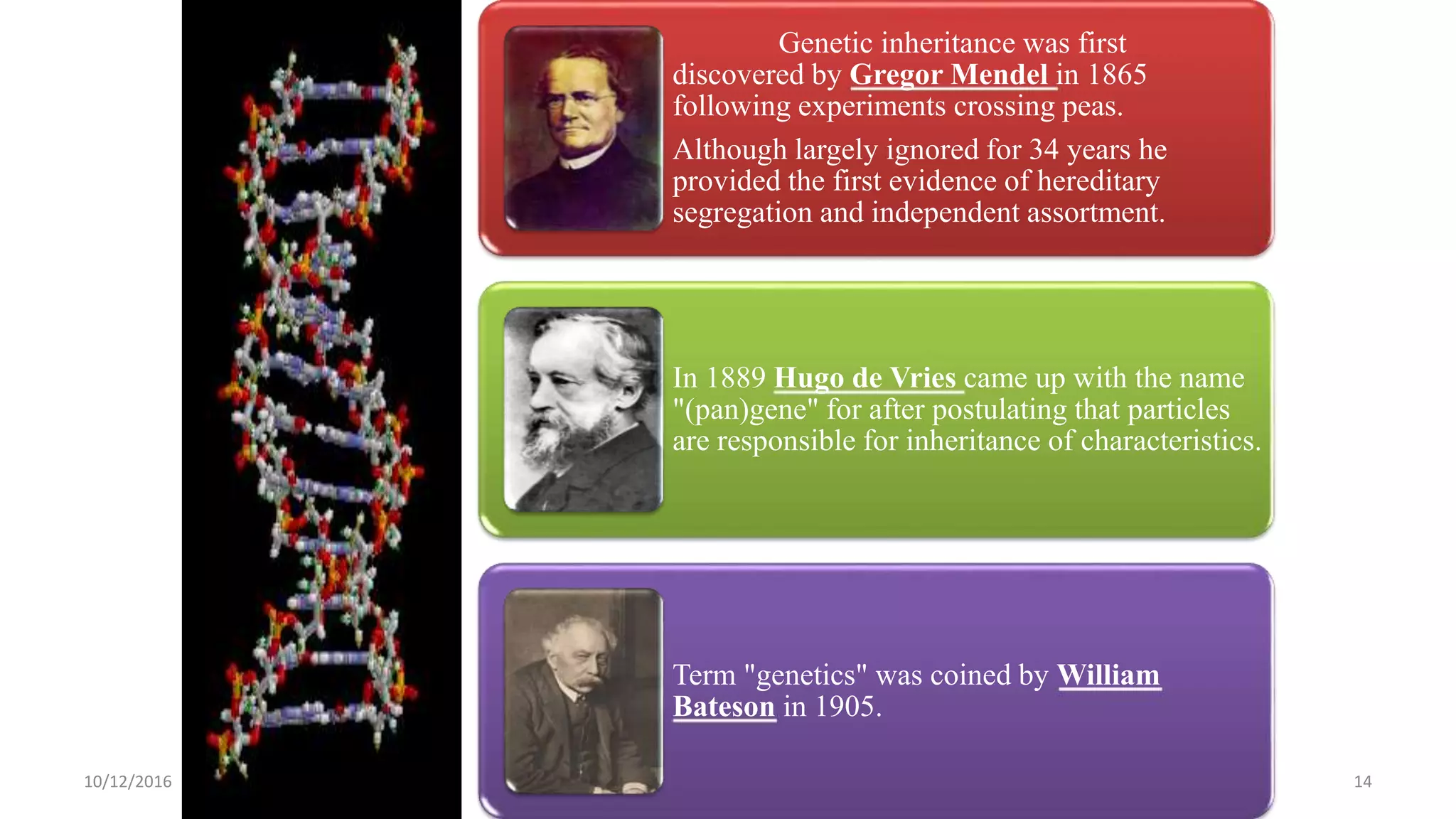 Genetic inheritance was first
discovered by Gregor Mendel in 1865
following experiments crossing peas.
Although largely ignored for 34 years he
provided the first evidence of hereditary
segregation and independent assortment.
In 1889 Hugo de Vries came up with the name
"(pan)gene" for after postulating that particles
are responsible for inheritance of characteristics.
Term "genetics" was coined by William
Bateson in 1905.
1410/12/2016
 