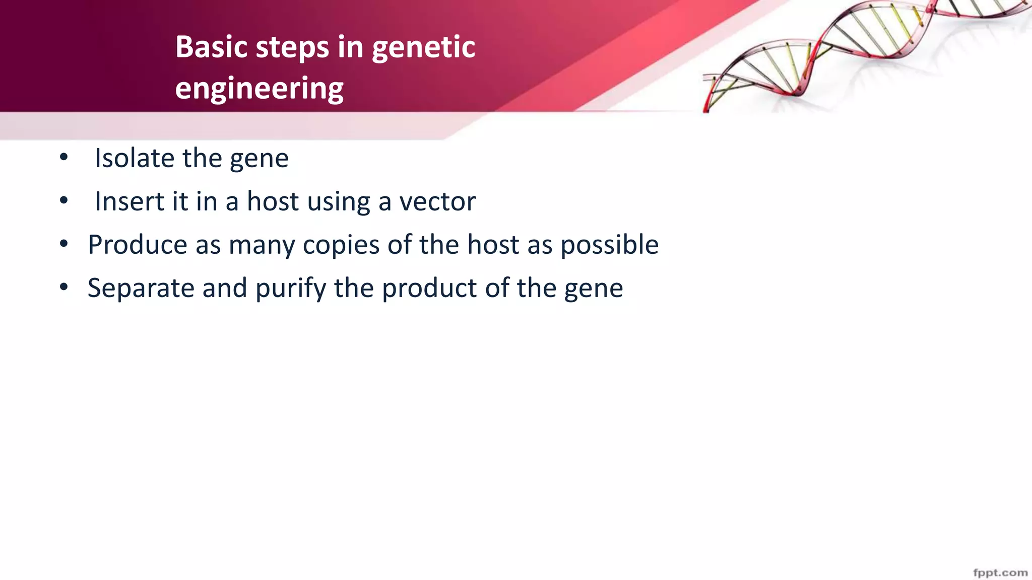 Basic steps in genetic
engineering
• Isolate the gene
• Insert it in a host using a vector
• Produce as many copies of the host as possible
• Separate and purify the product of the gene
 