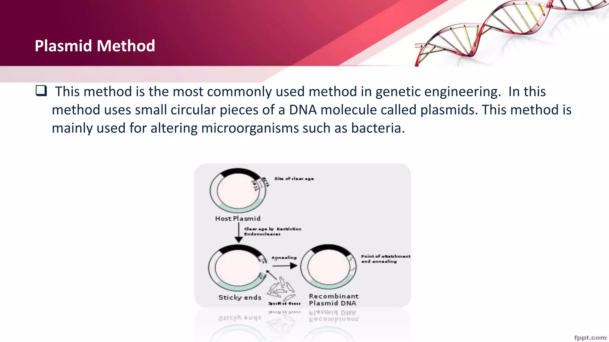 Plasmid Method
 This method is the most commonly used method in genetic engineering. In this
method uses small circular pieces of a DNA molecule called plasmids. This method is
mainly used for altering microorganisms such as bacteria.
 