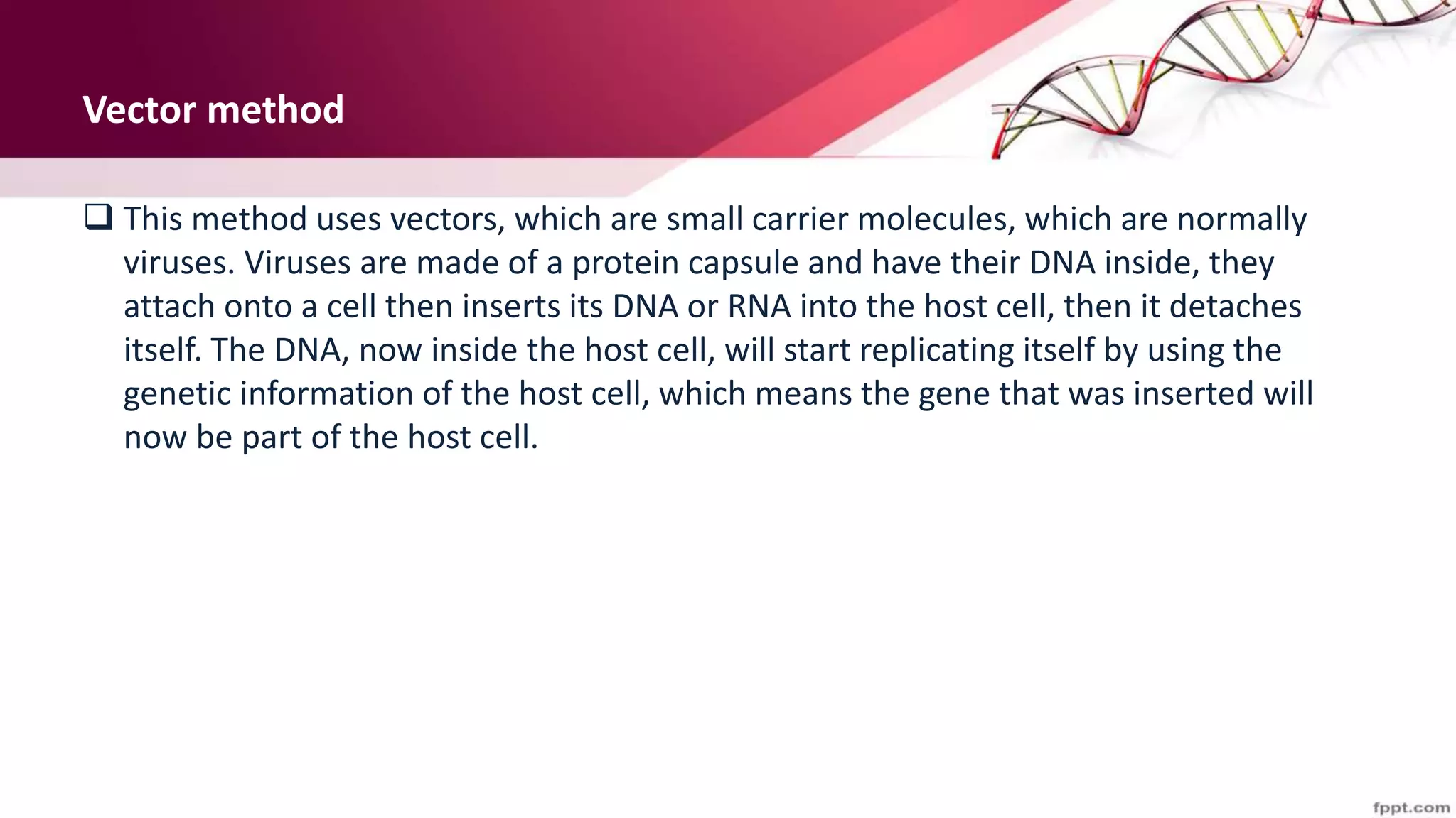 Vector method
 This method uses vectors, which are small carrier molecules, which are normally
viruses. Viruses are made of a protein capsule and have their DNA inside, they
attach onto a cell then inserts its DNA or RNA into the host cell, then it detaches
itself. The DNA, now inside the host cell, will start replicating itself by using the
genetic information of the host cell, which means the gene that was inserted will
now be part of the host cell.
 