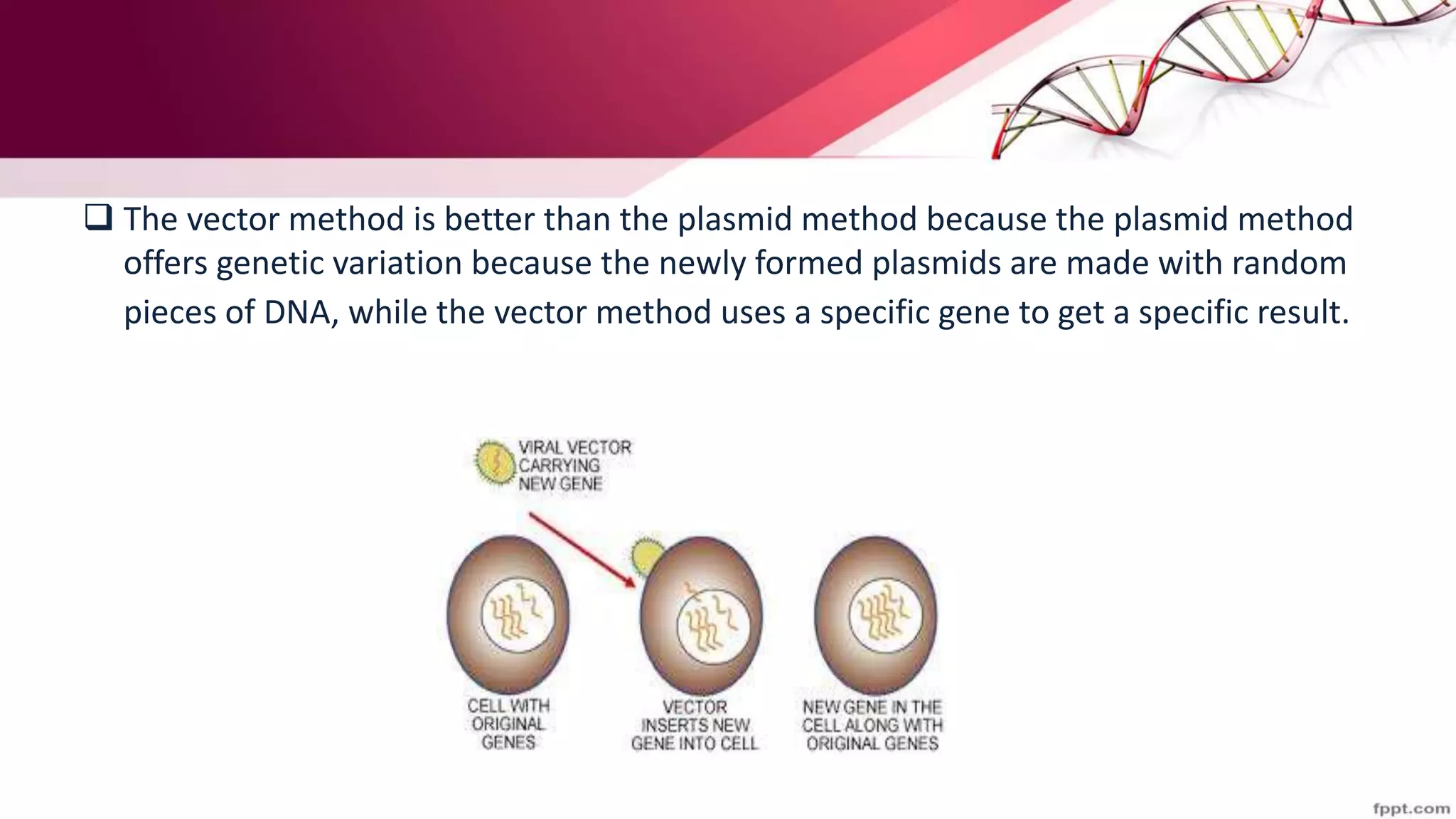  The vector method is better than the plasmid method because the plasmid method
offers genetic variation because the newly formed plasmids are made with random
pieces of DNA, while the vector method uses a specific gene to get a specific result.
 