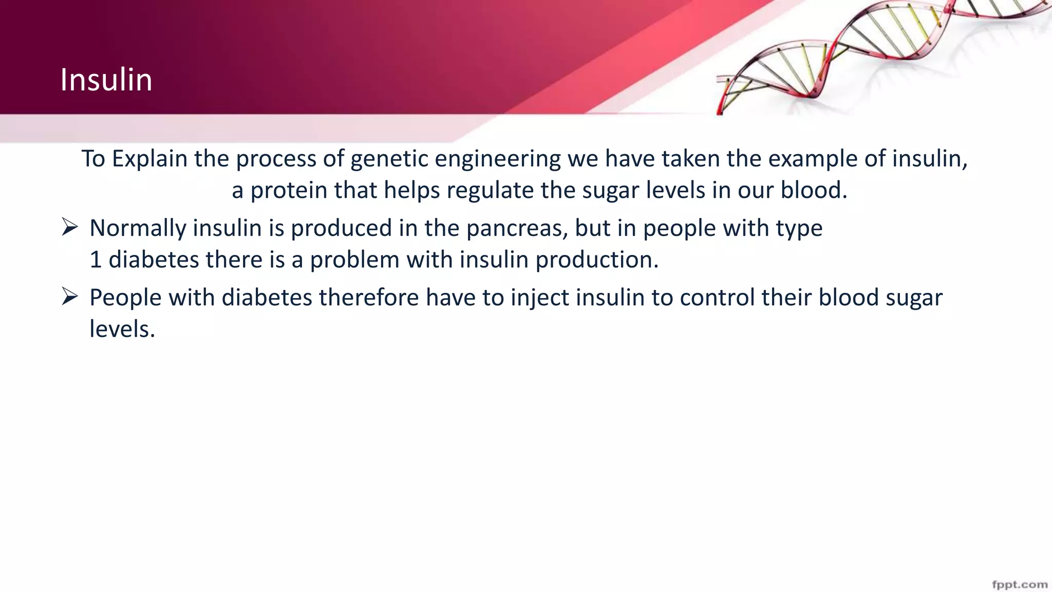 Insulin
To Explain the process of genetic engineering we have taken the example of insulin,
a protein that helps regulate the sugar levels in our blood.
 Normally insulin is produced in the pancreas, but in people with type
1 diabetes there is a problem with insulin production.
 People with diabetes therefore have to inject insulin to control their blood sugar
levels.
 