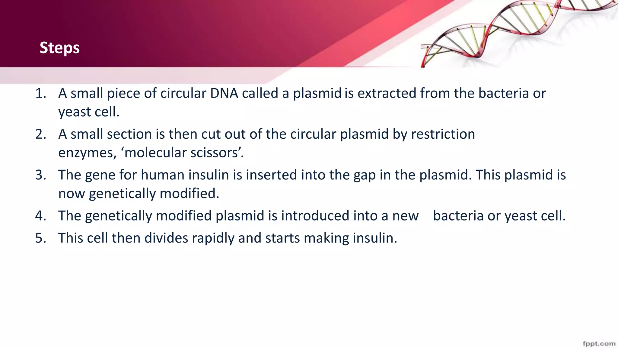 Steps
1. A small piece of circular DNA called a plasmid is extracted from the bacteria or
yeast cell.
2. A small section is then cut out of the circular plasmid by restriction
enzymes, ‘molecular scissors’.
3. The gene for human insulin is inserted into the gap in the plasmid. This plasmid is
now genetically modified.
4. The genetically modified plasmid is introduced into a new bacteria or yeast cell.
5. This cell then divides rapidly and starts making insulin.
 