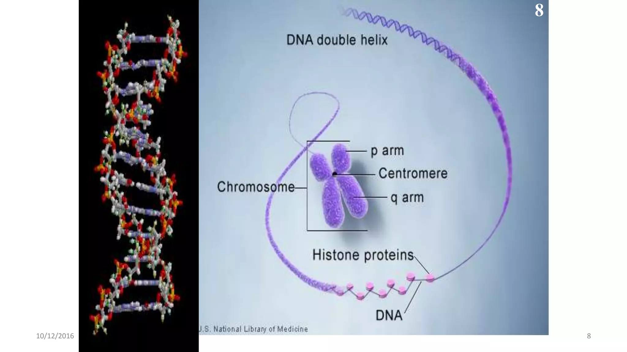 8
U S National Library of Medicine
8
10/12/2016
 