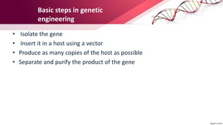 Basic steps in genetic
engineering
• Isolate the gene
• Insert it in a host using a vector
• Produce as many copies of the host as possible
• Separate and purify the product of the gene
 