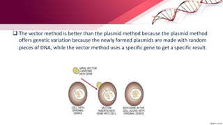  The vector method is better than the plasmid method because the plasmid method
offers genetic variation because the newly formed plasmids are made with random
pieces of DNA, while the vector method uses a specific gene to get a specific result.
 