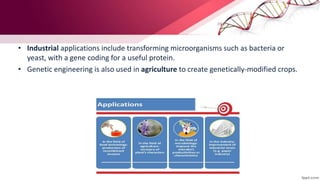 • Industrial applications include transforming microorganisms such as bacteria or
yeast, with a gene coding for a useful protein.
• Genetic engineering is also used in agriculture to create genetically-modified crops.
 