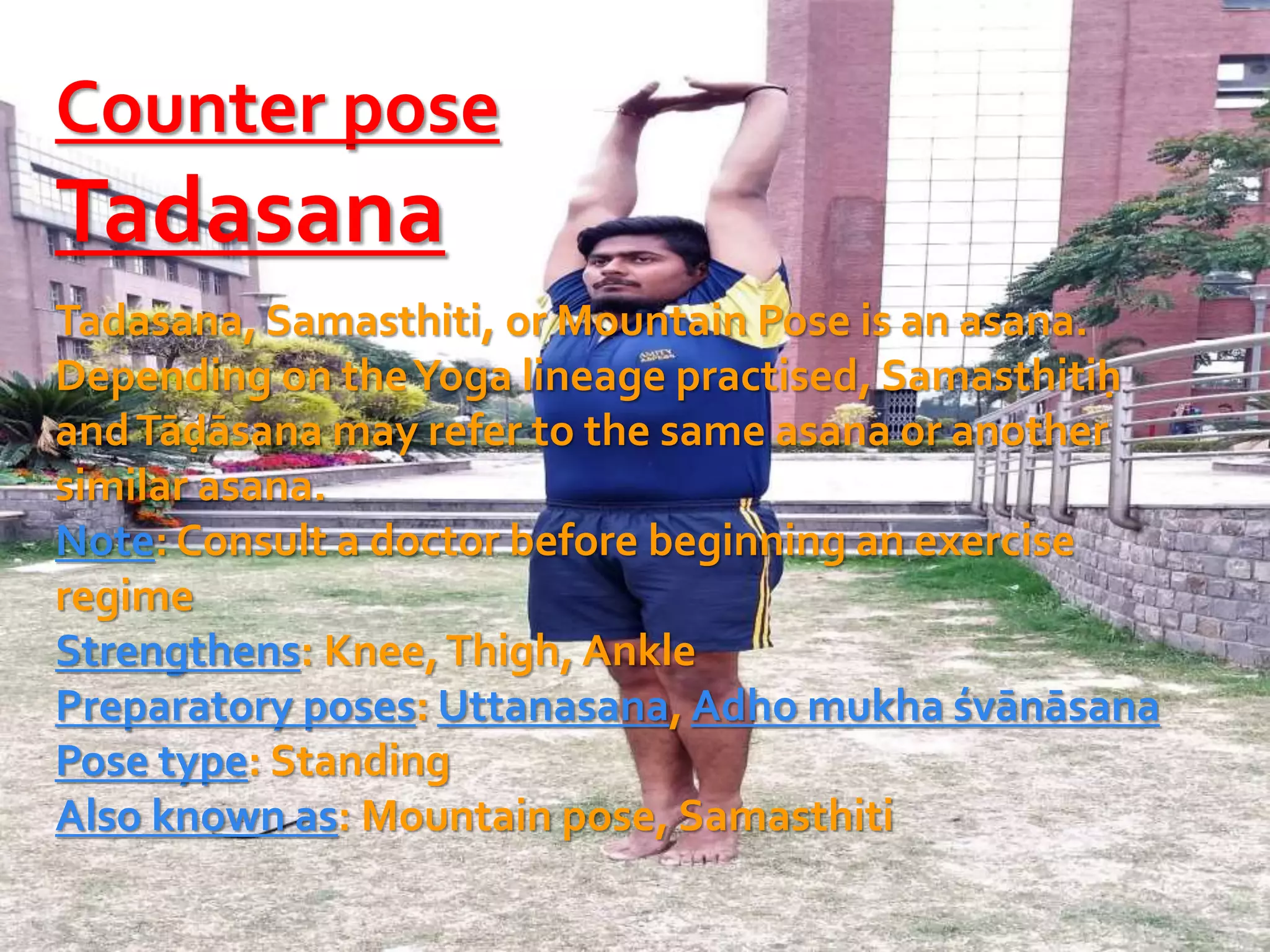 Counter pose
Tadasana
Tadasana, Samasthiti, or Mountain Pose is an asana.
Depending on theYoga lineage practised, Samasthitiḥ
andTāḍāsana may refer to the same asana or another
similar asana.
Note: Consult a doctor before beginning an exercise
regime
Strengthens: Knee,Thigh, Ankle
Preparatory poses: Uttanasana, Adho mukha śvānāsana
Pose type: Standing
Also known as: Mountain pose, Samasthiti
 