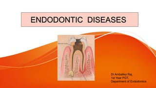 ENDODONTIC DISEASES
Dr Ambalika Raj,
1st Year PGT,
Department of Endodontics
 