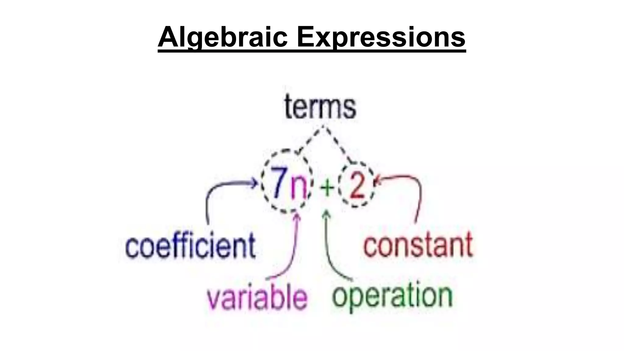 Algebraic Expressions
 