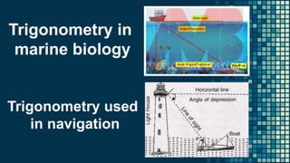 Trigonometry in
marine biology
Trigonometry used
in navigation
 
