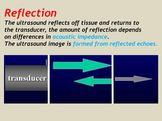 Reflection
The ultrasound reflects off tissue and returns to
the transducer, the amount of reflection depends
on differences in acoustic impedance.
The ultrasound image is formed from reflected echoes.
 
