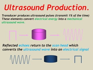 Ultrasound Production.
Transducer produces ultrasound pulses (transmit 1% of the time)
These elements convert electrical energy into a mechanical
ultrasound wave.
Reflected echoes return to the scan head which
converts the ultrasound wave into an electrical signal
 