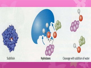 •   This process is mostly undertaken by transferases and
    hydrolases.

•   The hydrolytic enzyme especially proteolytic enzyme
    works in this manner for cleavage of peptide bonds in
    proteins.

•   Proteolytic enzymes mostly have serine at their active
    site so OH goup of serine makes a transient complex
    with COOH group of peptide bond with subsequent
    cleavage by water.
 