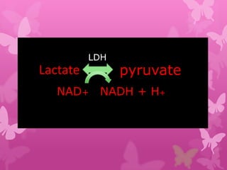 LDH
Lactate         pyruvate
   NAD+ NADH + H+
 