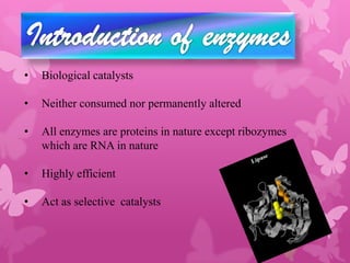 •   Biological catalysts

•   Neither consumed nor permanently altered

•   All enzymes are proteins in nature except ribozymes
    which are RNA in nature

•   Highly efficient

•   Act as selective catalysts
 