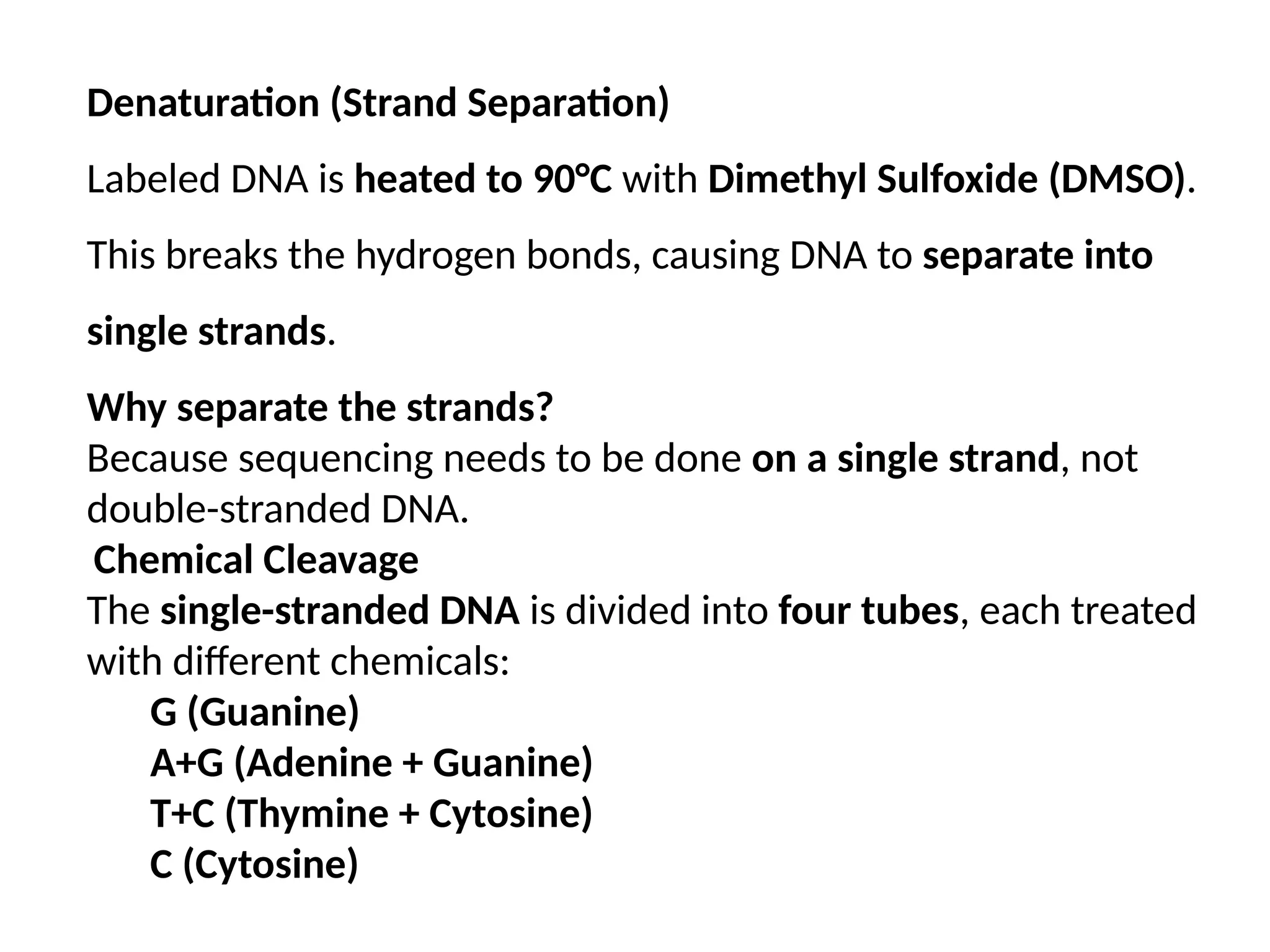 Denaturation (Strand Separation)
Labeled DNA is heated to 90°C with Dimethyl Sulfoxide (DMSO).
This breaks the hydrogen bonds, causing DNA to separate into
single strands.
Why separate the strands?
Because sequencing needs to be done on a single strand, not
double-stranded DNA.
Chemical Cleavage
The single-stranded DNA is divided into four tubes, each treated
with different chemicals:
G (Guanine)
A+G (Adenine + Guanine)
T+C (Thymine + Cytosine)
C (Cytosine)
 