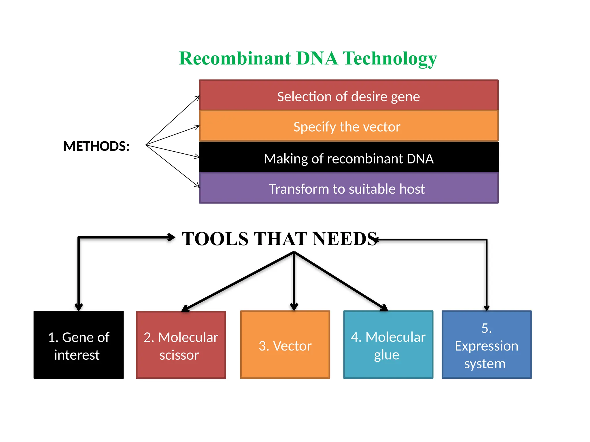 Recombinant DNA Technology
TOOLS THAT NEEDS
METHODS:
Selection of desire gene
Specify the vector
Making of recombinant DNA
Transform to suitable host
1. Gene of
interest
2. Molecular
scissor
3. Vector
4. Molecular
glue
5.
Expression
system
 