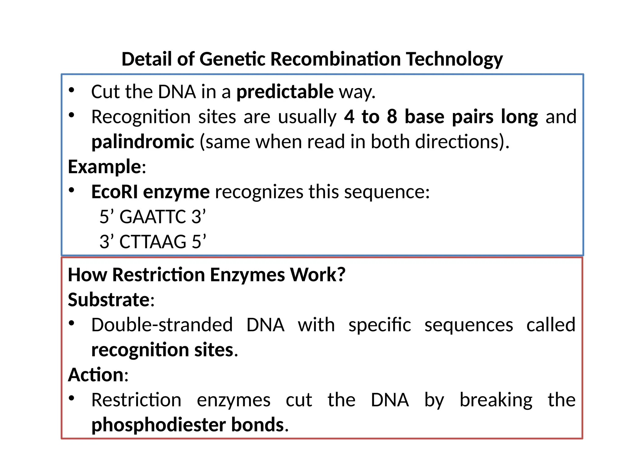 Detail of Genetic Recombination Technology
• Cut the DNA in a predictable way.
• Recognition sites are usually 4 to 8 base pairs long and
palindromic (same when read in both directions).
Example:
• EcoRI enzyme recognizes this sequence:
5’ GAATTC 3’
3’ CTTAAG 5’
How Restriction Enzymes Work?
Substrate:
• Double-stranded DNA with specific sequences called
recognition sites.
Action:
• Restriction enzymes cut the DNA by breaking the
phosphodiester bonds.
 