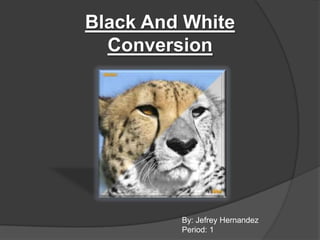 Black And White
  Conversion




         By: Jefrey Hernandez
         Period: 1
 