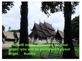 “ You will not be punished for your anger, you will be punished by your anger .”  Buddha 