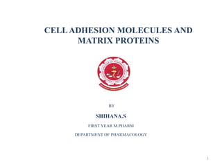 CELLADHESION MOLECULES AND
MATRIX PROTEINS
BY
SHIHANA.S
FIRST YEAR M.PHARM
DEPARTMENT OF PHARMACOLOGY
1
 