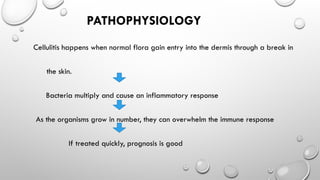 Presentation1 Cellulitis_01d50540-f546-4760-b68a-9738da66a64b.pptx