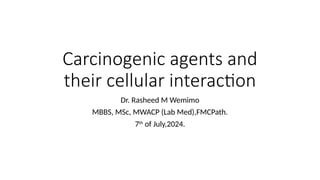 Rasheed M Cycle Presentation1 chemical carcinogenesis by Dr Rasheed.pptx