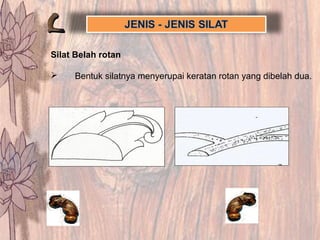 Silat Belah rotan
 Bentuk silatnya menyerupai keratan rotan yang dibelah dua.
 