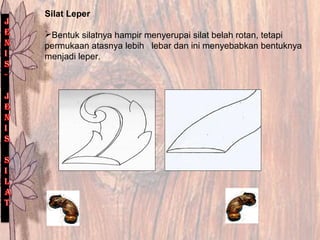 Silat Leper
Bentuk silatnya hampir menyerupai silat belah rotan, tetapi
permukaan atasnya lebih lebar dan ini menyebabkan bentuknya
menjadi leper.
 