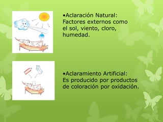 Los fondo de aclaración surgen a través de:Aclaración Natural